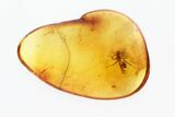 Detailed Fossil Ant (Formicidae) In Baltic Amber #270660-1
